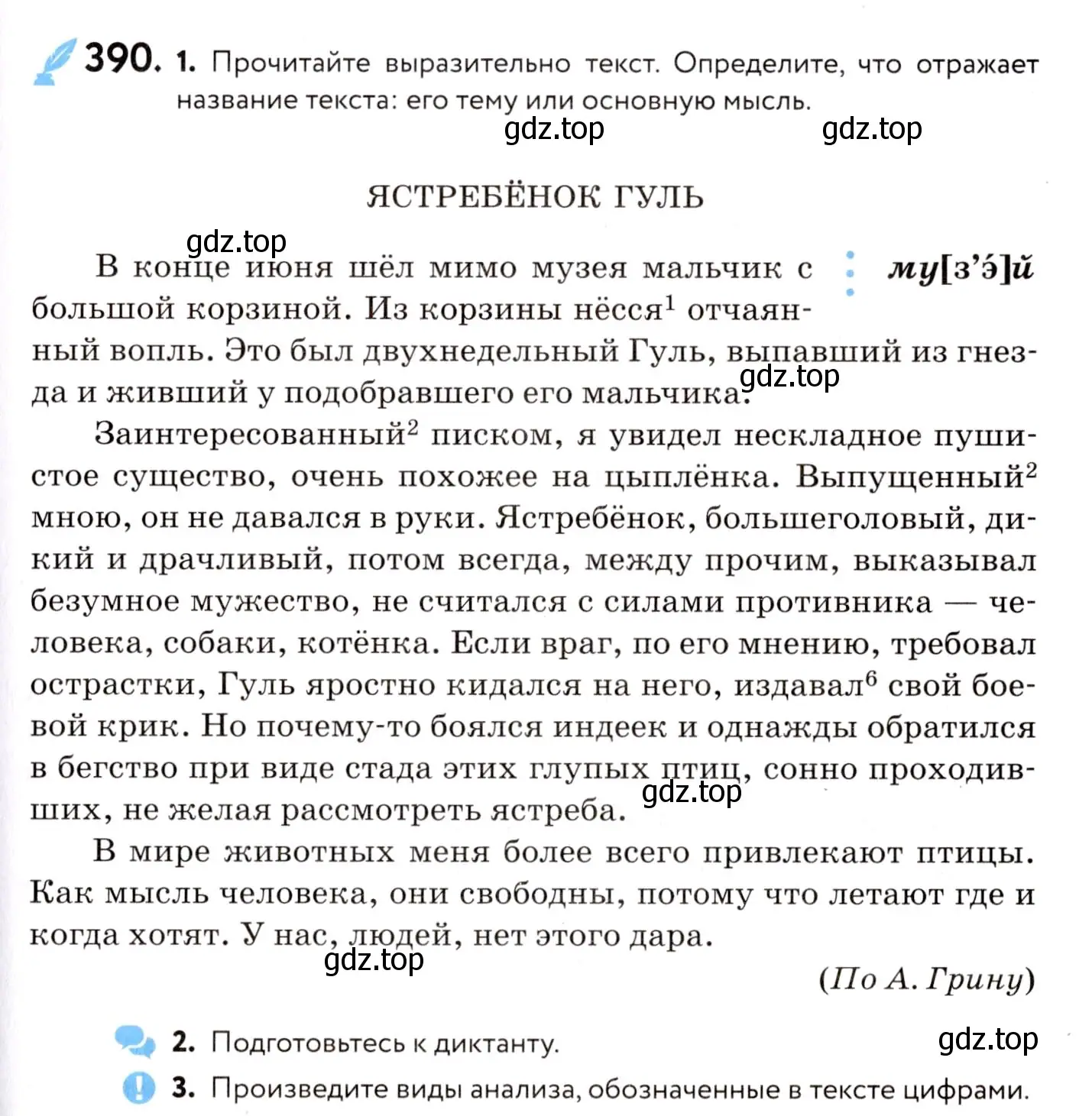 Условие номер 390 (страница 179) гдз по русскому языку 8 класс Пичугов, Еремеева, учебник