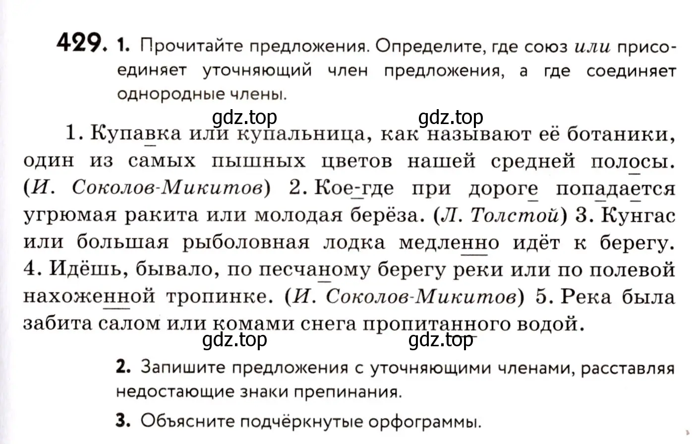 Условие номер 429 (страница 197) гдз по русскому языку 8 класс Пичугов, Еремеева, учебник