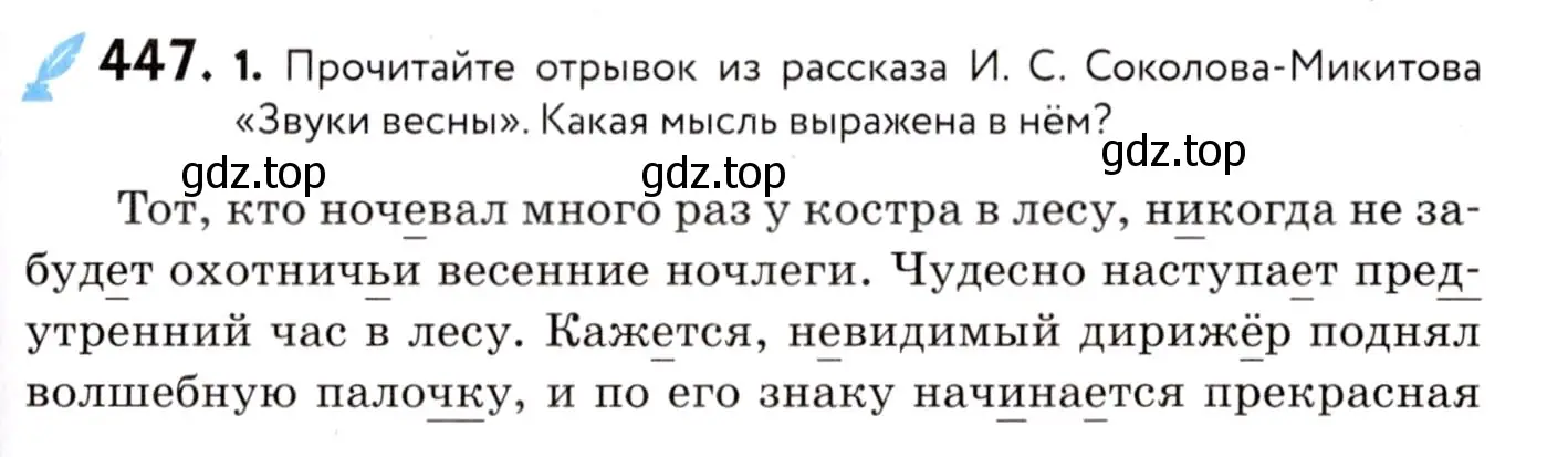 Условие номер 447 (страница 203) гдз по русскому языку 8 класс Пичугов, Еремеева, учебник