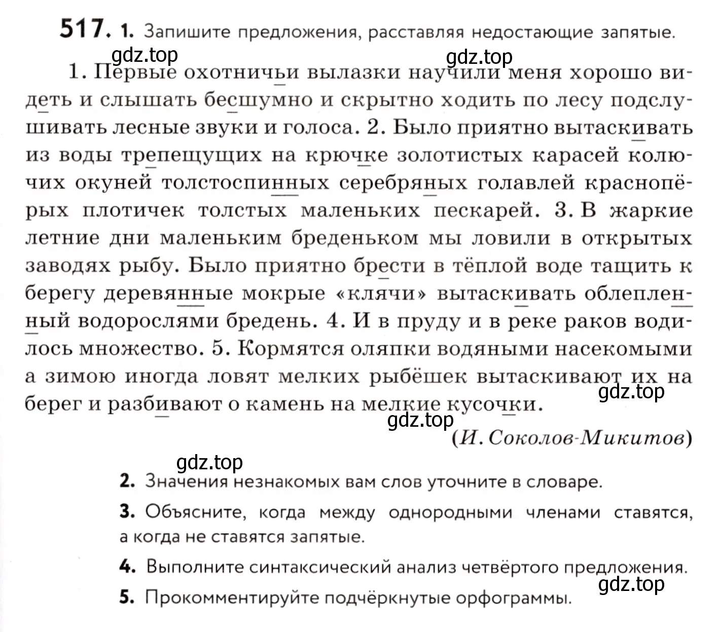 Условие номер 517 (страница 243) гдз по русскому языку 8 класс Пичугов, Еремеева, учебник