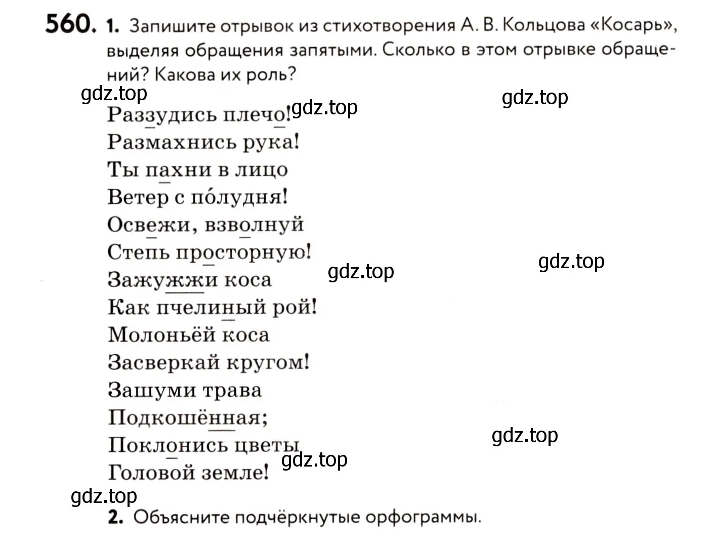 Условие номер 560 (страница 264) гдз по русскому языку 8 класс Пичугов, Еремеева, учебник