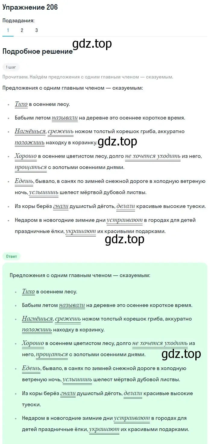 Решение 2. номер 206 (страница 96) гдз по русскому языку 8 класс Пичугов, Еремеева, учебник