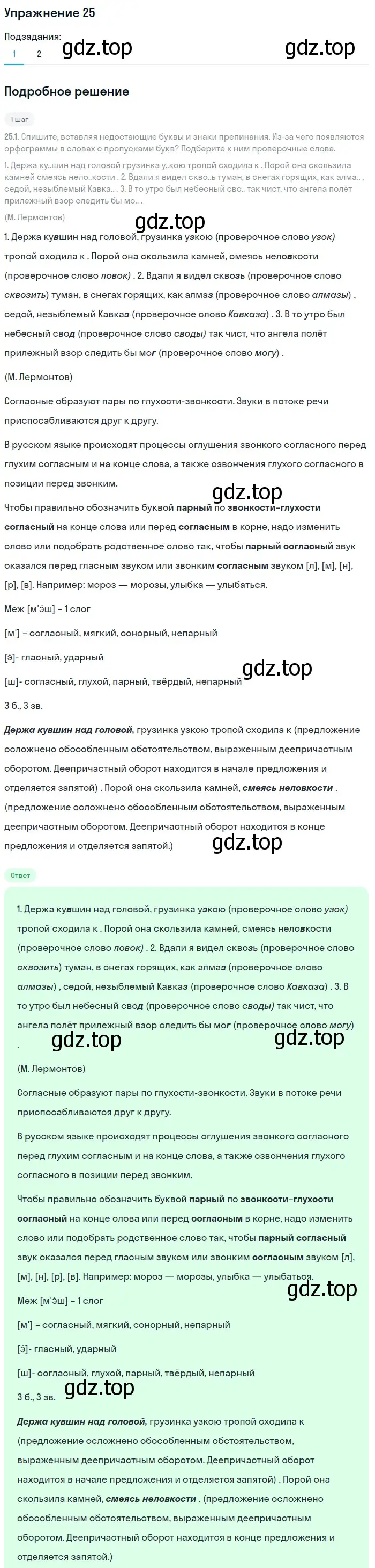 Решение 2. номер 25 (страница 18) гдз по русскому языку 8 класс Пичугов, Еремеева, учебник