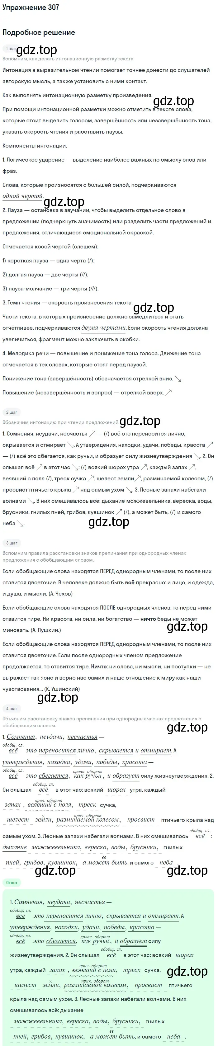 Решение 2. номер 307 (страница 144) гдз по русскому языку 8 класс Пичугов, Еремеева, учебник