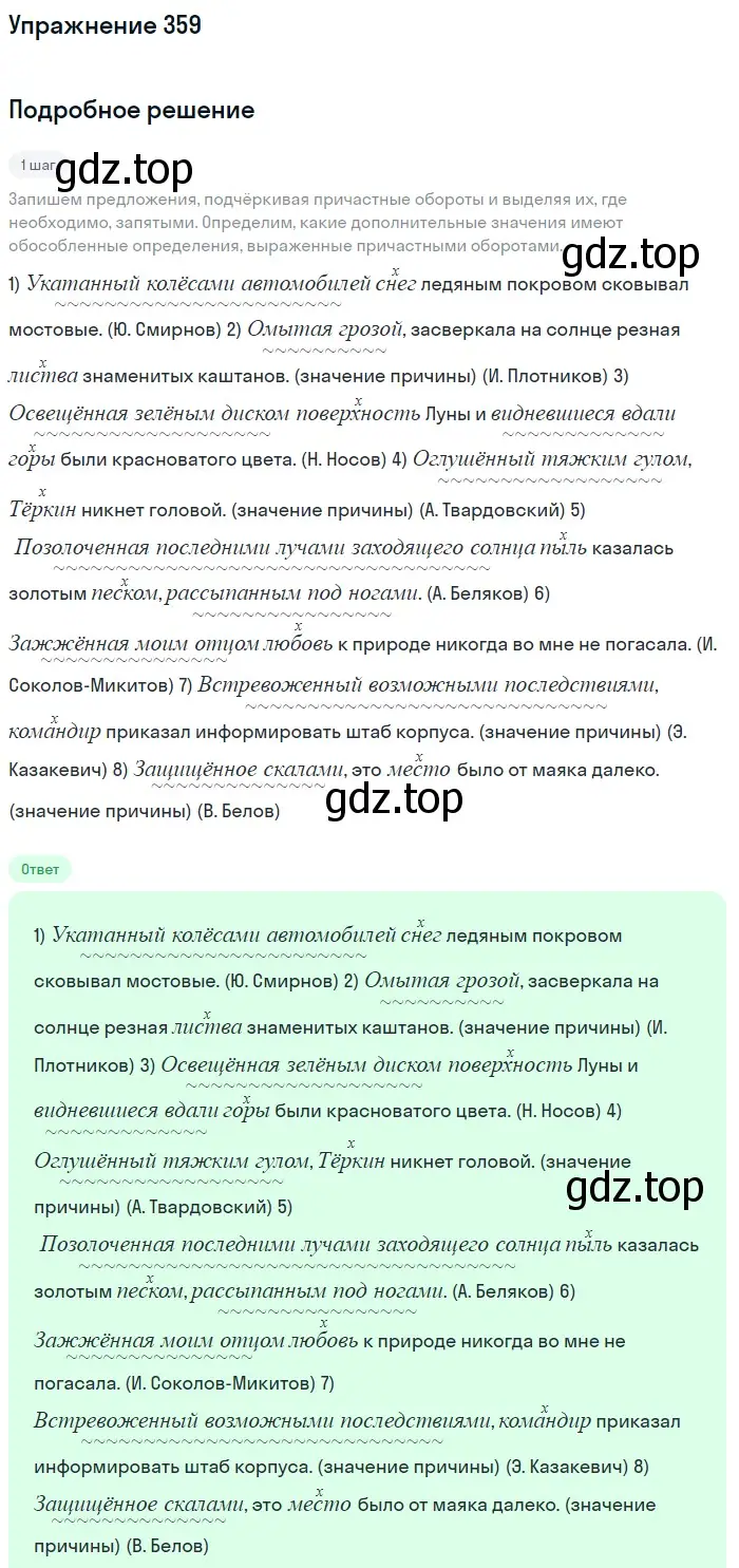 Решение 2. номер 359 (страница 165) гдз по русскому языку 8 класс Пичугов, Еремеева, учебник