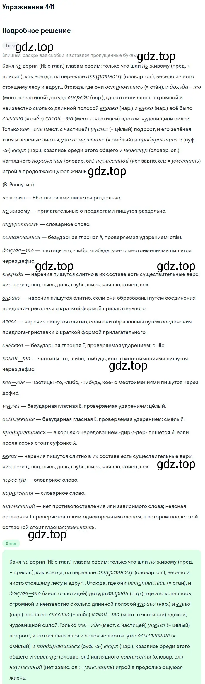 Решение 2. номер 441 (страница 201) гдз по русскому языку 8 класс Пичугов, Еремеева, учебник