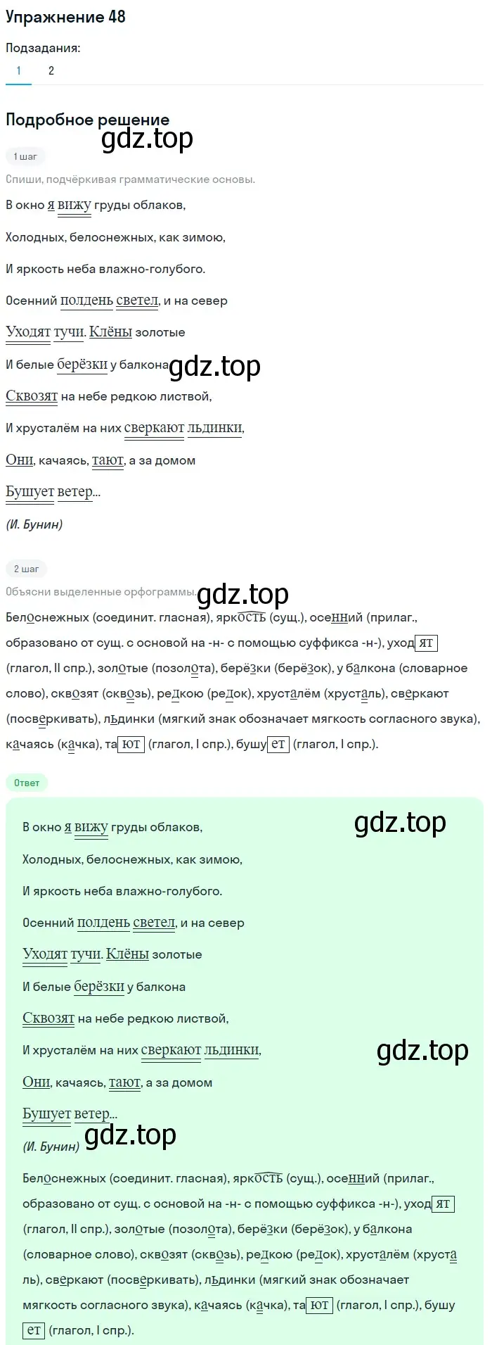 Решение 2. номер 48 (страница 27) гдз по русскому языку 8 класс Пичугов, Еремеева, учебник