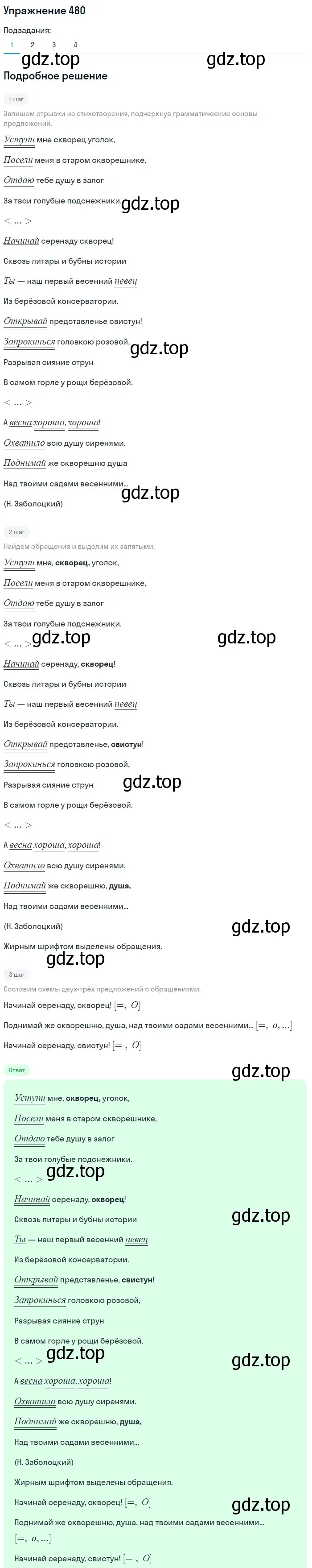 Решение 2. номер 480 (страница 220) гдз по русскому языку 8 класс Пичугов, Еремеева, учебник