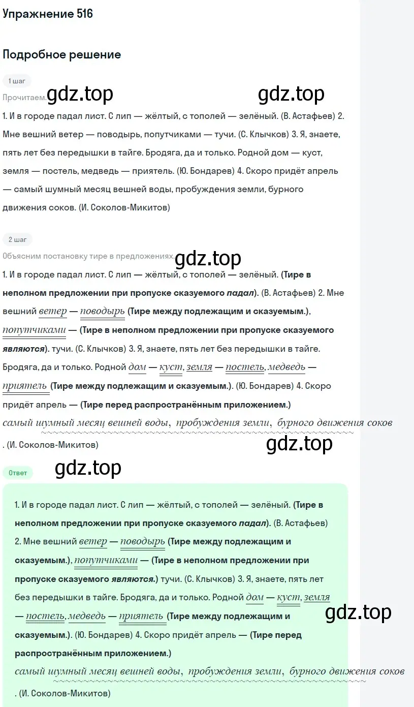 Решение 2. номер 516 (страница 243) гдз по русскому языку 8 класс Пичугов, Еремеева, учебник