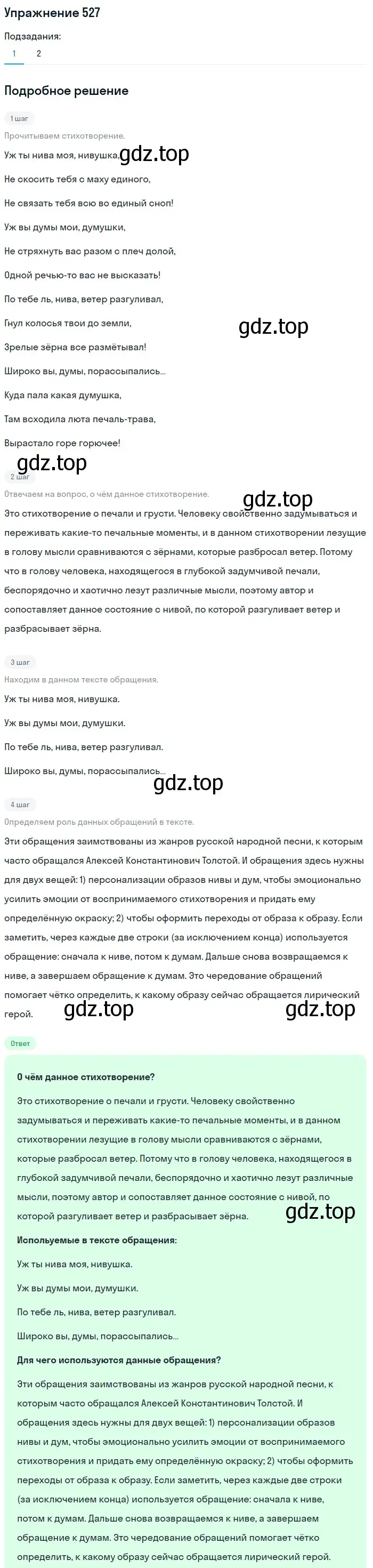 Решение 2. номер 527 (страница 248) гдз по русскому языку 8 класс Пичугов, Еремеева, учебник