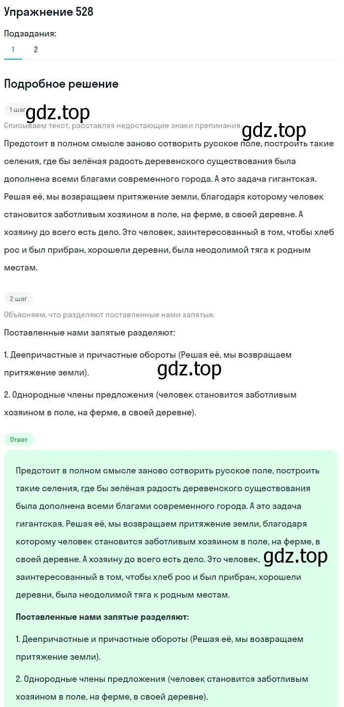 Решение 2. номер 528 (страница 248) гдз по русскому языку 8 класс Пичугов, Еремеева, учебник