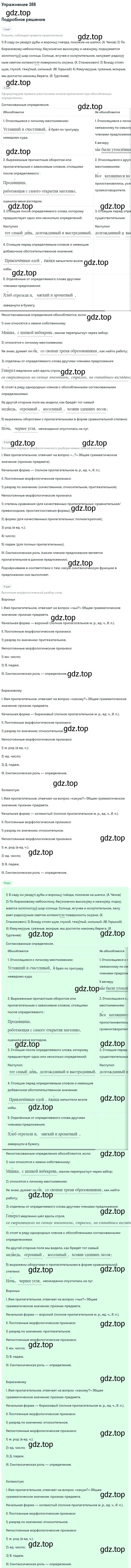 Решение 2. номер 388 (страница 206) гдз по русскому языку 9 класс Бархударов, Крючков, учебник