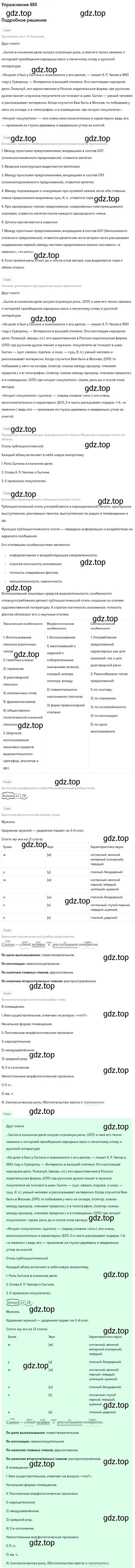 Решение 2. номер 480 (страница 243) гдз по русскому языку 9 класс Бархударов, Крючков, учебник