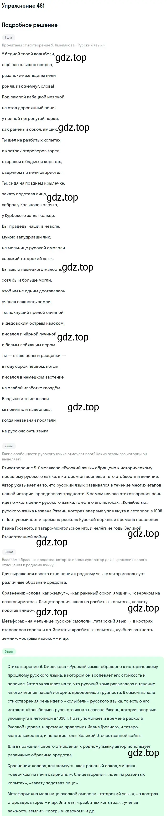 Решение 2. номер 481 (страница 243) гдз по русскому языку 9 класс Бархударов, Крючков, учебник