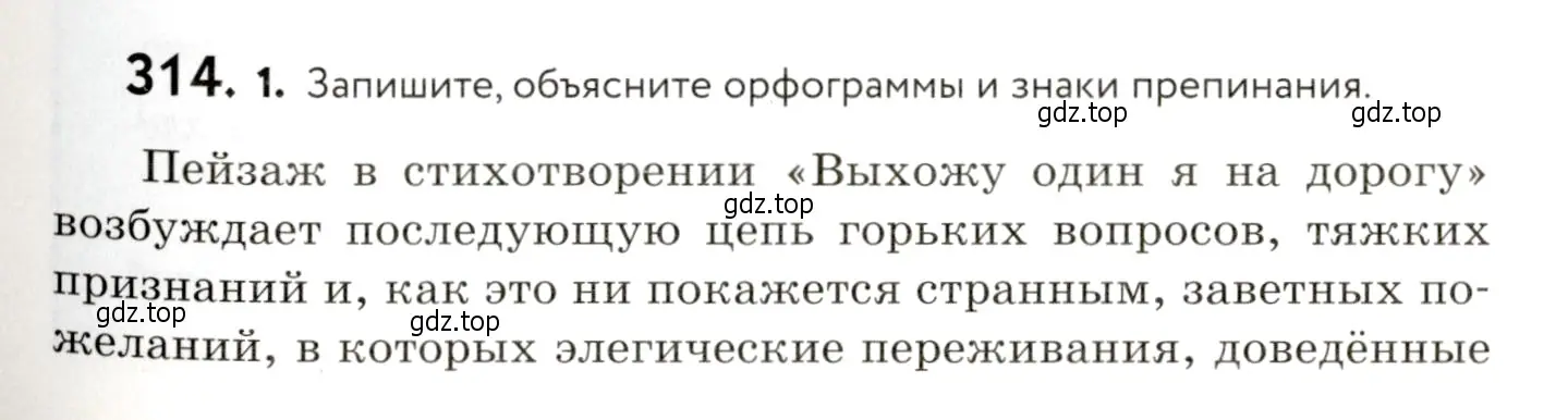 Условие номер 314 (страница 205) гдз по русскому языку 9 класс Пичугов, Еремеева, учебник