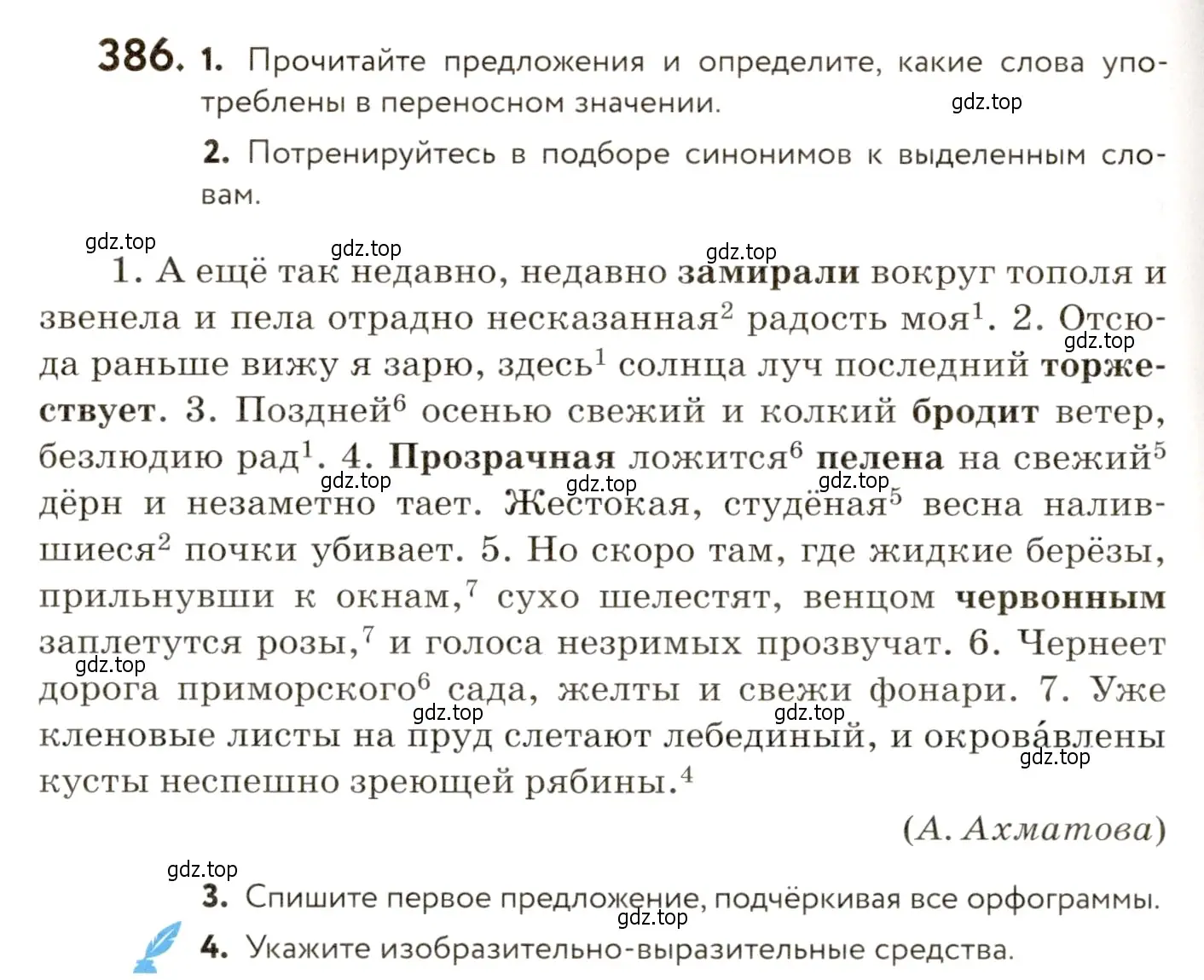 Условие номер 386 (страница 246) гдз по русскому языку 9 класс Пичугов, Еремеева, учебник