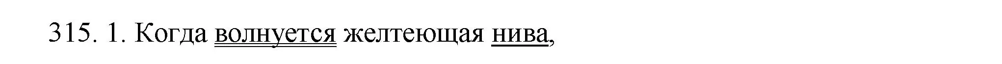 Решение номер 315 (страница 207) гдз по русскому языку 9 класс Пичугов, Еремеева, учебник