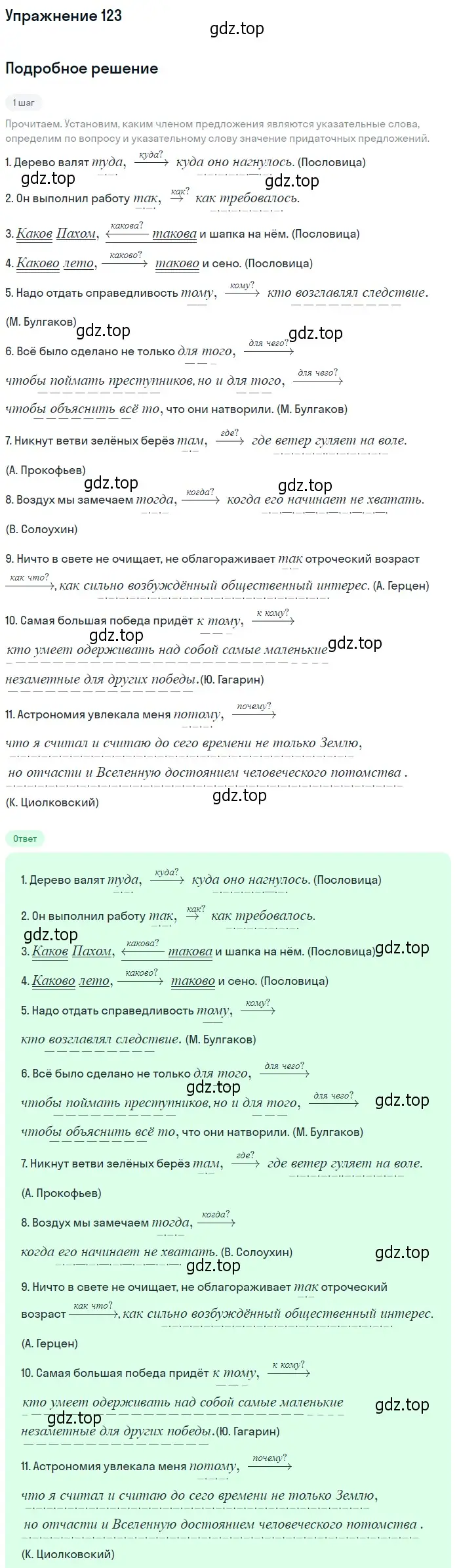 Решение 2. номер 123 (страница 100) гдз по русскому языку 9 класс Пичугов, Еремеева, учебник