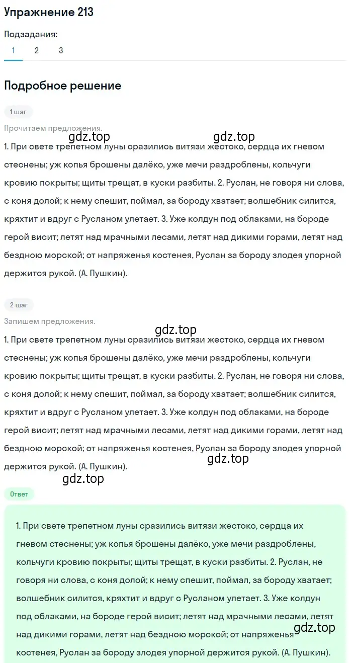 Решение 2. номер 213 (страница 151) гдз по русскому языку 9 класс Пичугов, Еремеева, учебник