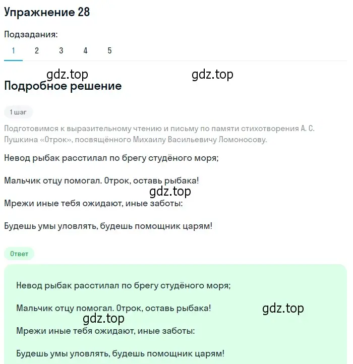 Решение 2. номер 28 (страница 26) гдз по русскому языку 9 класс Пичугов, Еремеева, учебник