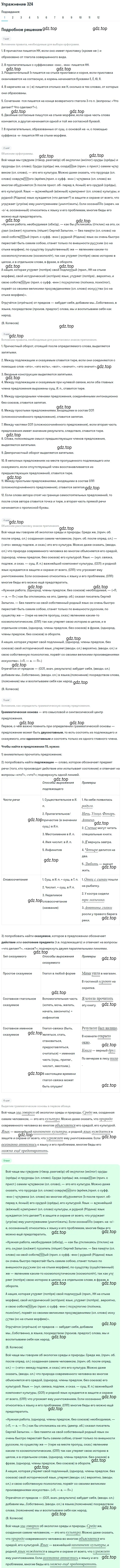 Решение 2. номер 324 (страница 213) гдз по русскому языку 9 класс Пичугов, Еремеева, учебник