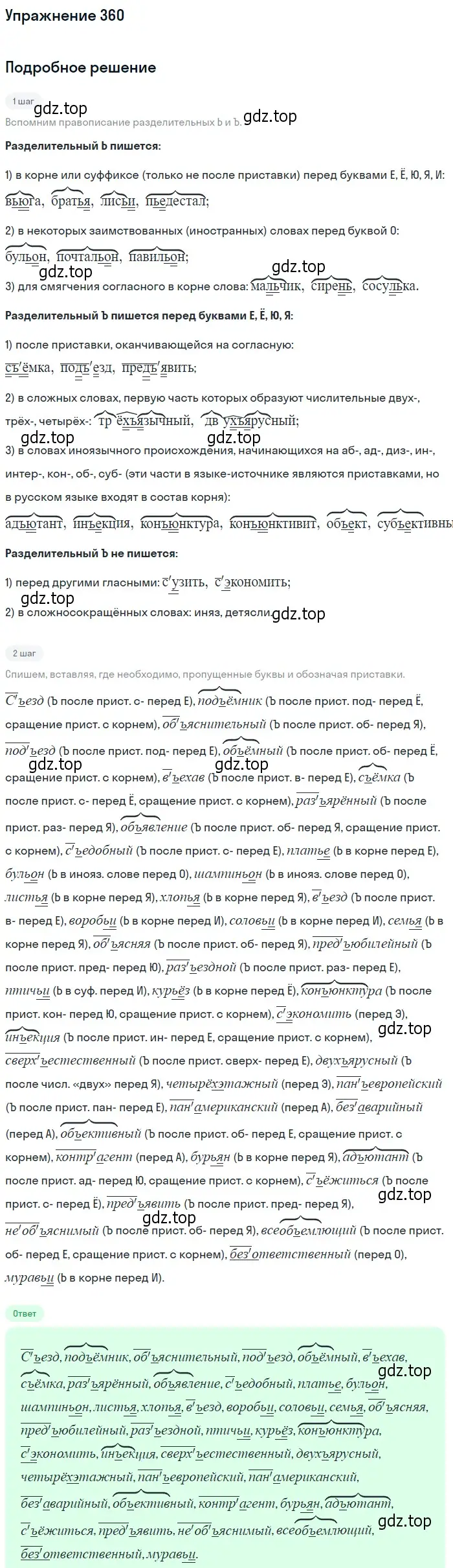 Решение 2. номер 360 (страница 236) гдз по русскому языку 9 класс Пичугов, Еремеева, учебник