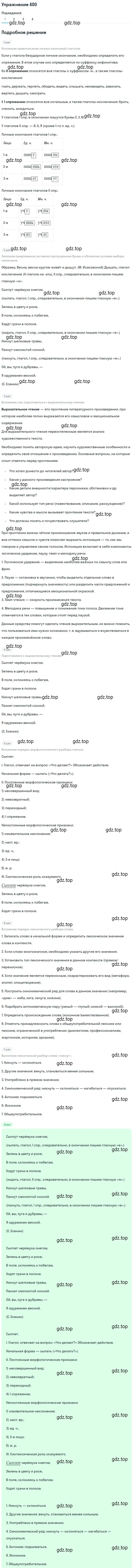 Решение 2. номер 400 (страница 251) гдз по русскому языку 9 класс Пичугов, Еремеева, учебник