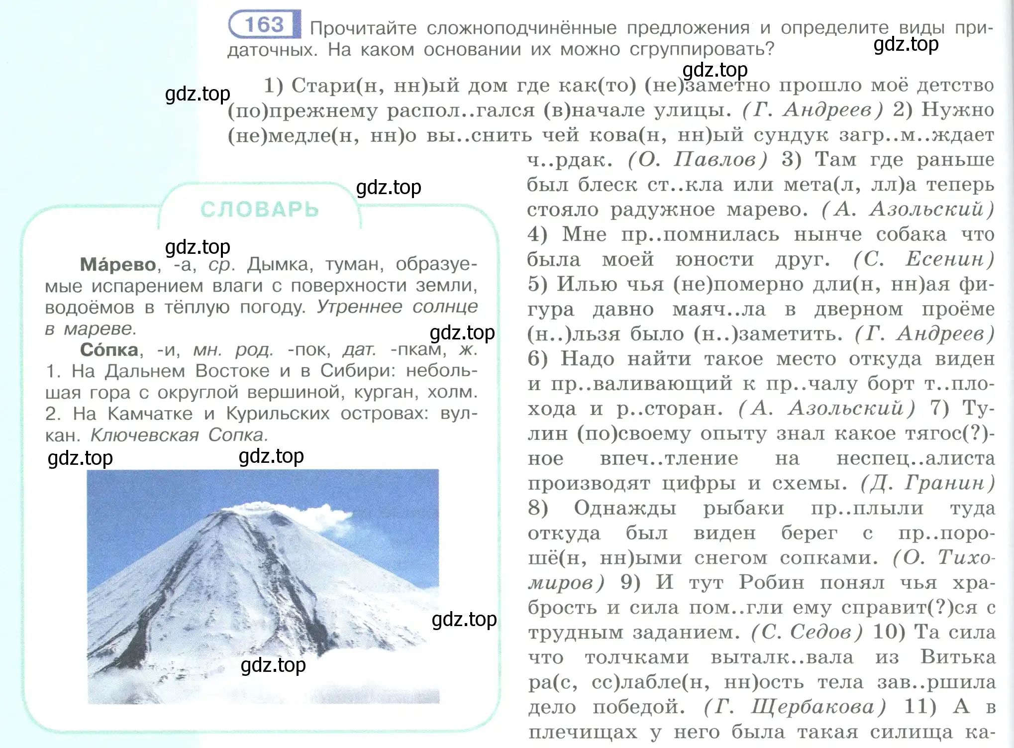 Условие номер 163 (страница 96) гдз по русскому языку 9 класс Рыбченкова, Александрова, учебник