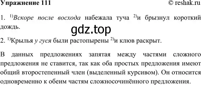 Решение номер 111 (страница 66) гдз по русскому языку 9 класс Рыбченкова, Александрова, учебник