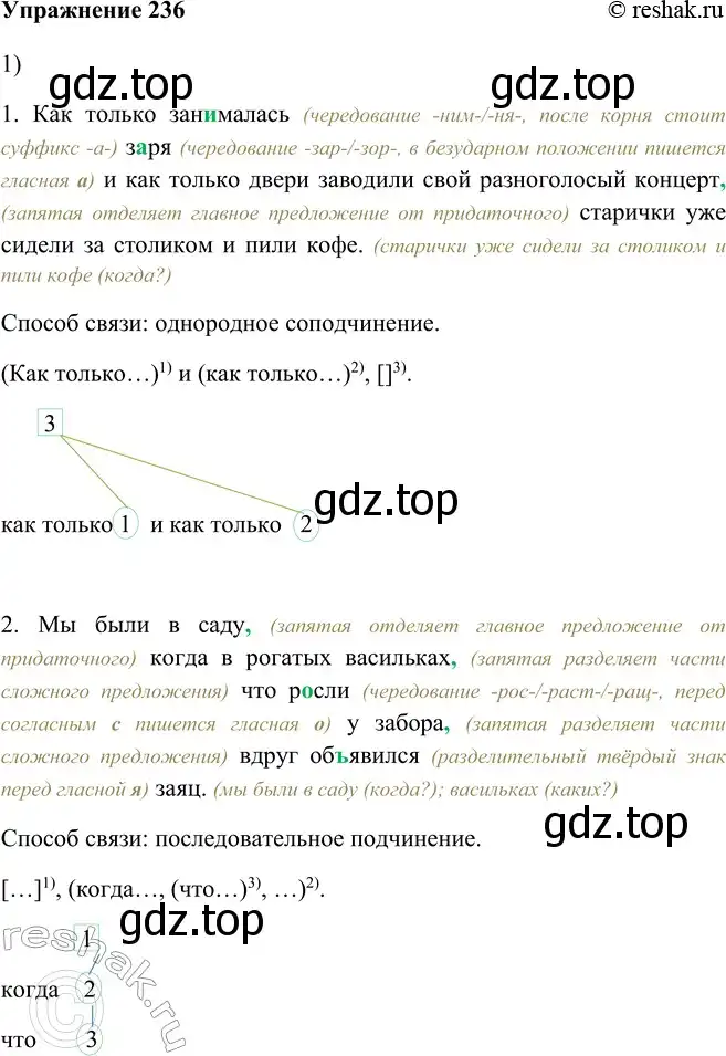 Решение номер 236 (страница 132) гдз по русскому языку 9 класс Рыбченкова, Александрова, учебник