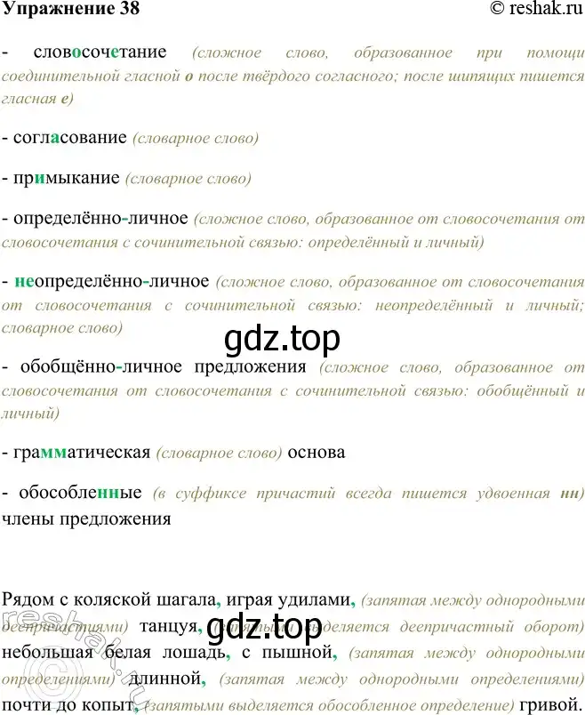 Решение номер 38 (страница 23) гдз по русскому языку 9 класс Рыбченкова, Александрова, учебник