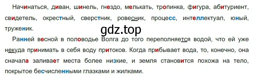 Решение 2. номер 221 (страница 124) гдз по русскому языку 9 класс Рыбченкова, Александрова, учебник