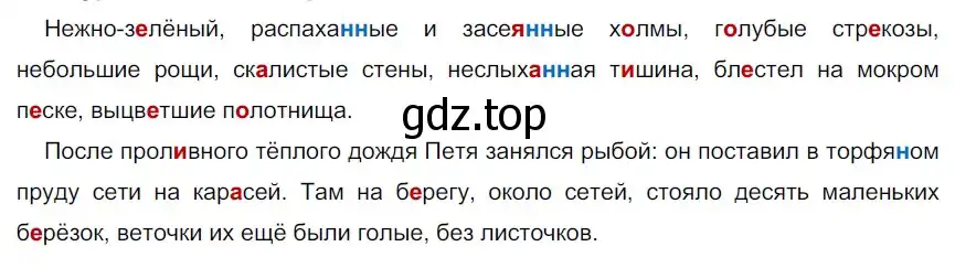 Решение 2. номер 282 (страница 161) гдз по русскому языку 9 класс Рыбченкова, Александрова, учебник