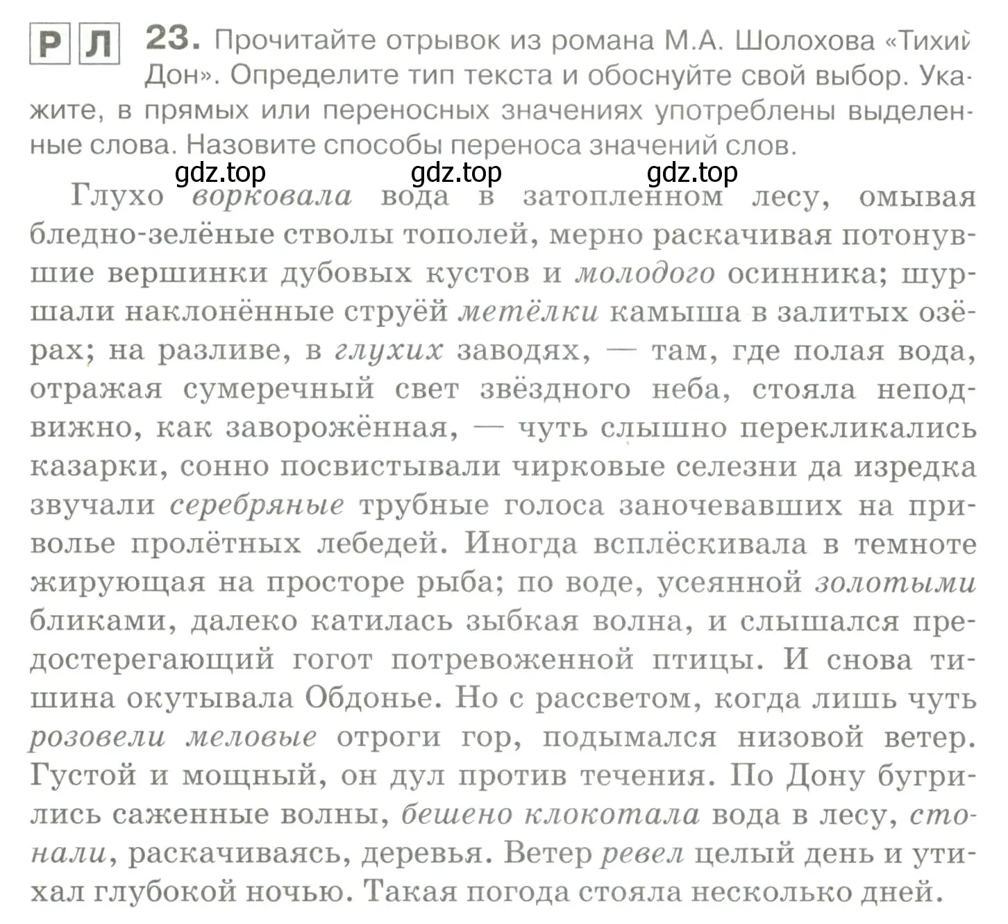 Условие номер 23 (страница 32) гдз по русскому языку 10-11 класс Гольцова, Шамшин, учебник 1 часть