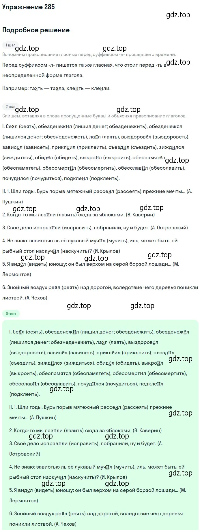 Решение 2. номер 285 (страница 262) гдз по русскому языку 10-11 класс Гольцова, Шамшин, учебник 1 часть