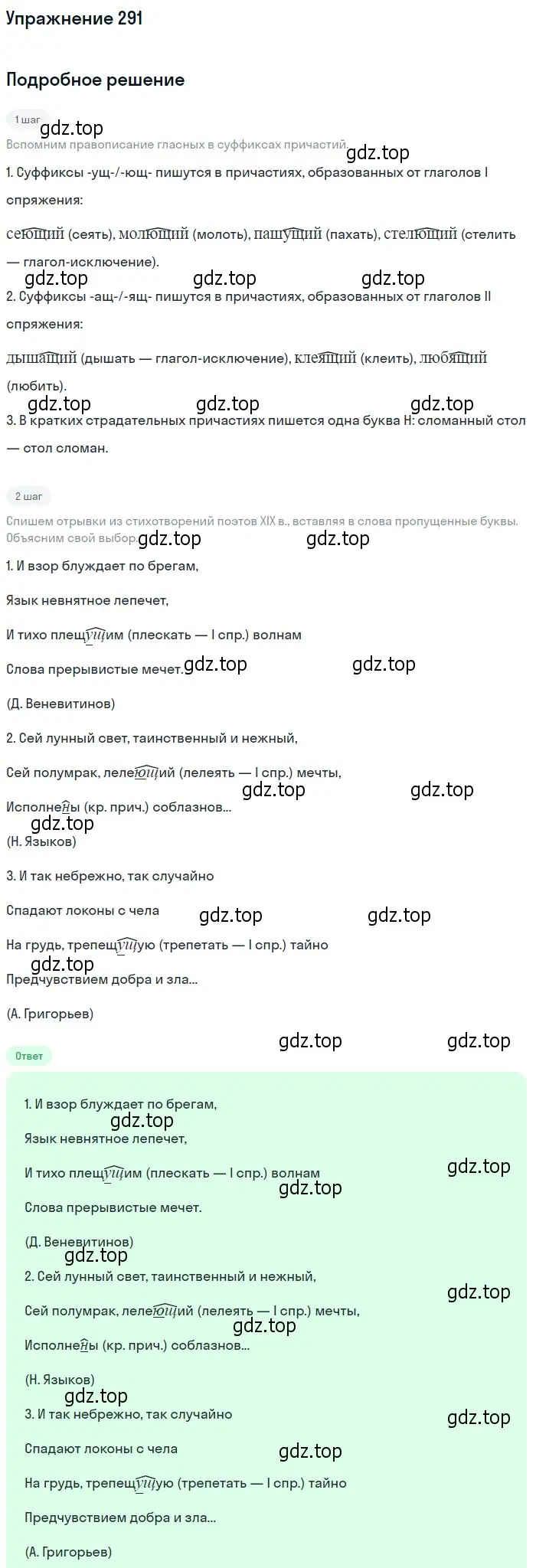 Решение 2. номер 291 (страница 269) гдз по русскому языку 10-11 класс Гольцова, Шамшин, учебник 1 часть