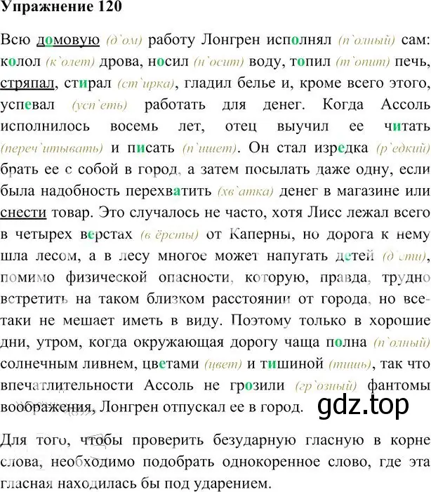 Решение 3. номер 120 (страница 115) гдз по русскому языку 10-11 класс Гольцова, Шамшин, учебник 1 часть