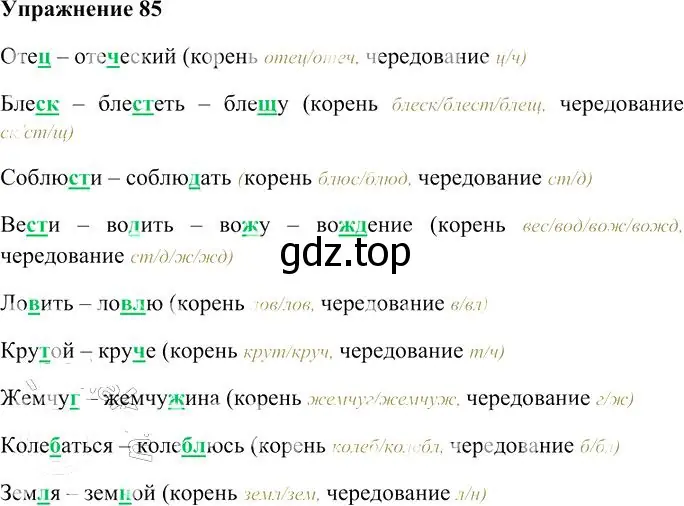 Решение 3. номер 85 (страница 89) гдз по русскому языку 10-11 класс Гольцова, Шамшин, учебник 1 часть