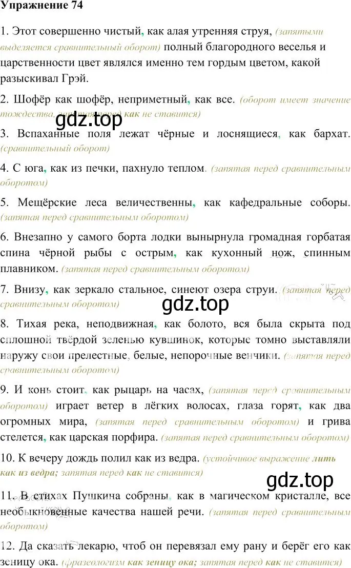 Решение 3. номер 74 (страница 100) гдз по русскому языку 10-11 класс Гольцова, Шамшин, учебник 2 часть