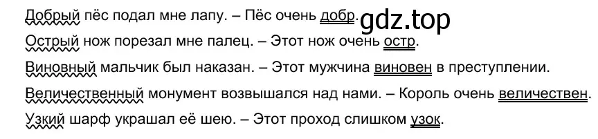 Решение 5. номер 217 (страница 205) гдз по русскому языку 10-11 класс Гольцова, Шамшин, учебник 1 часть