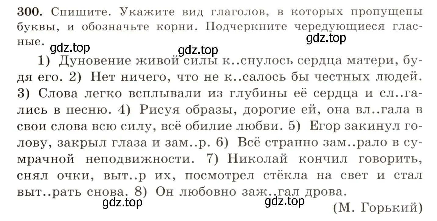 Условие номер 300 (страница 190) гдз по русскому языку 10-11 класс Греков, Крючков, учебник