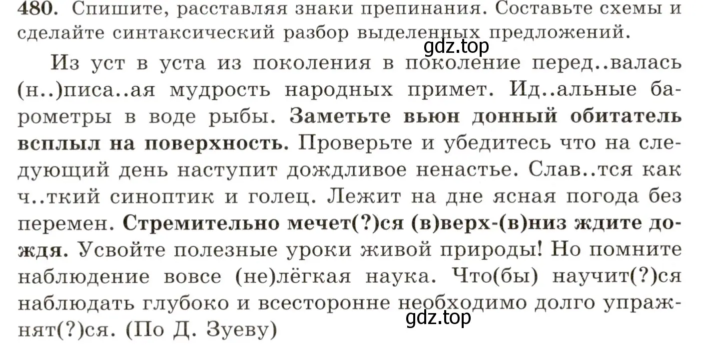 Условие номер 480 (страница 329) гдз по русскому языку 10-11 класс Греков, Крючков, учебник