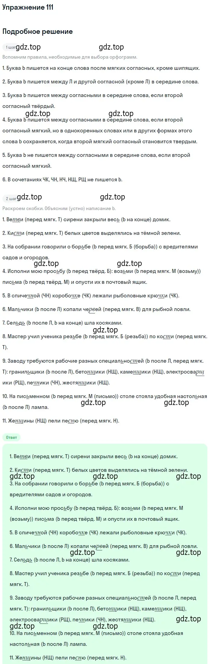 Решение номер 111 (страница 86) гдз по русскому языку 10-11 класс Греков, Крючков, учебник