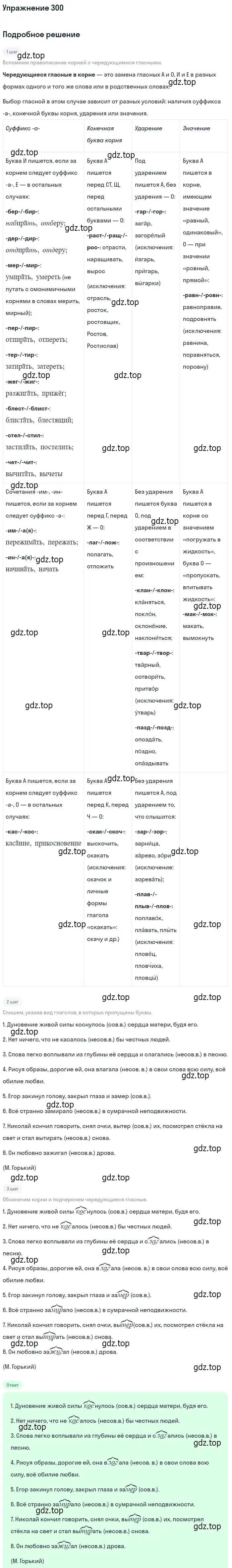 Решение номер 300 (страница 190) гдз по русскому языку 10-11 класс Греков, Крючков, учебник