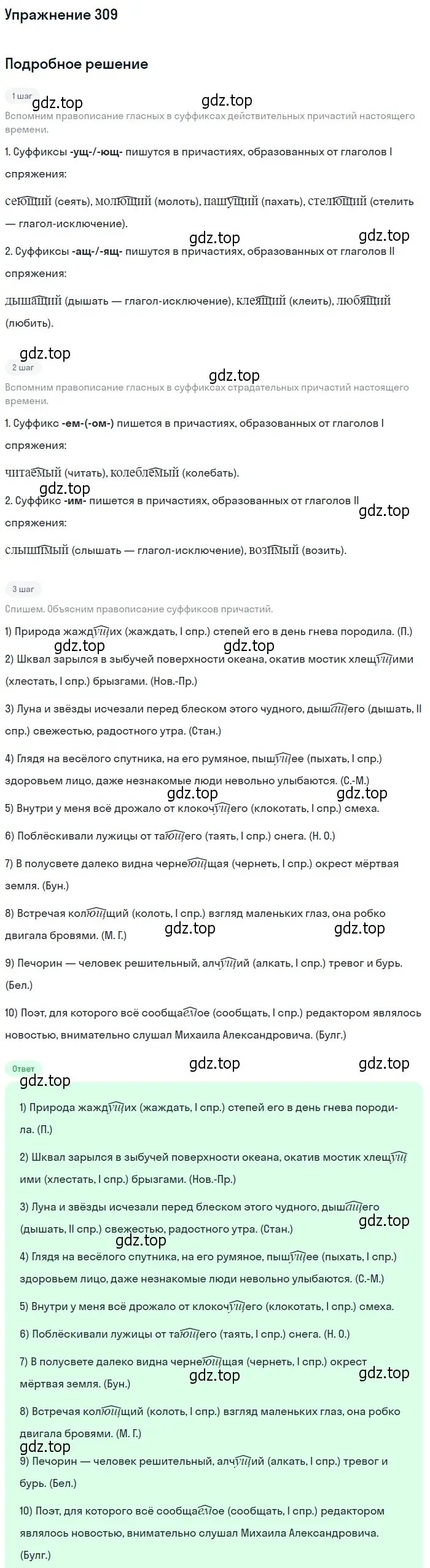 Решение номер 309 (страница 196) гдз по русскому языку 10-11 класс Греков, Крючков, учебник