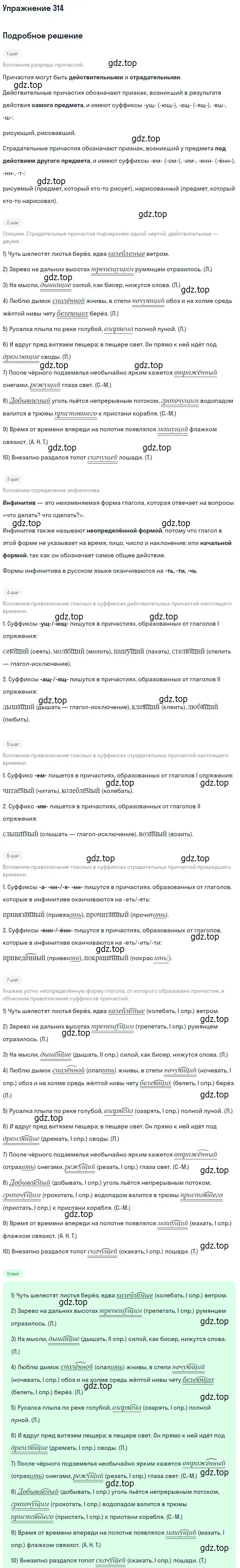 Решение номер 314 (страница 198) гдз по русскому языку 10-11 класс Греков, Крючков, учебник