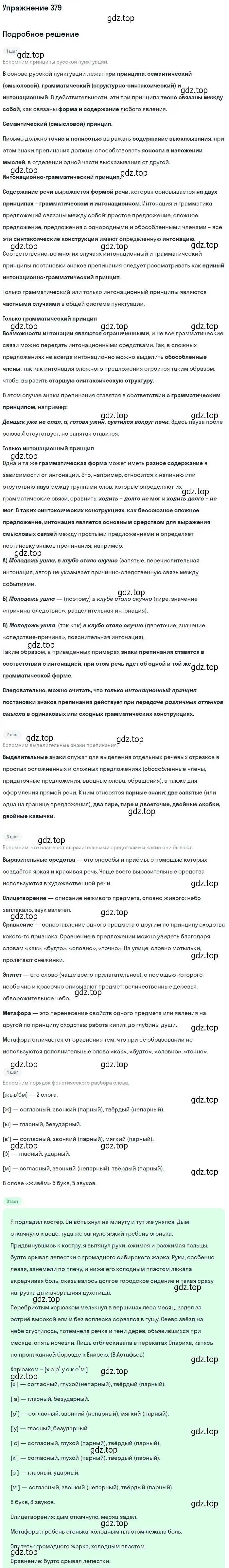 Решение номер 379 (страница 247) гдз по русскому языку 10-11 класс Греков, Крючков, учебник