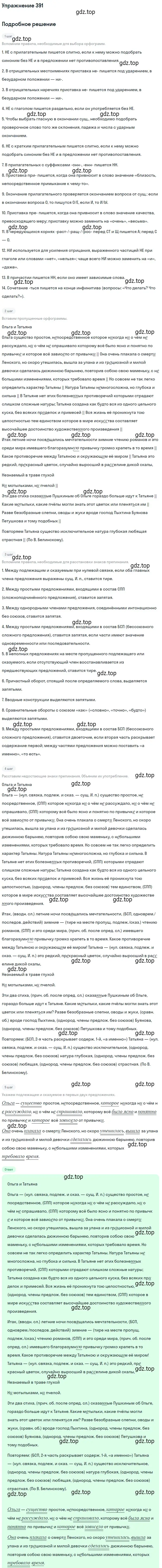 Решение номер 391 (страница 253) гдз по русскому языку 10-11 класс Греков, Крючков, учебник