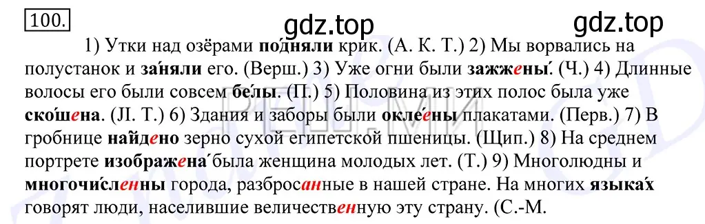 Решение 2. номер 100 (страница 78) гдз по русскому языку 10-11 класс Греков, Крючков, учебник