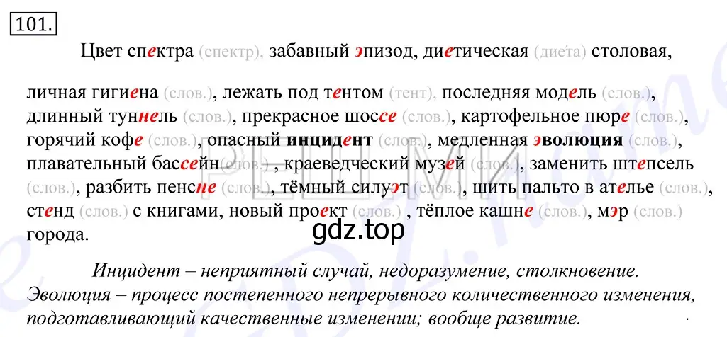 Решение 2. номер 101 (страница 78) гдз по русскому языку 10-11 класс Греков, Крючков, учебник